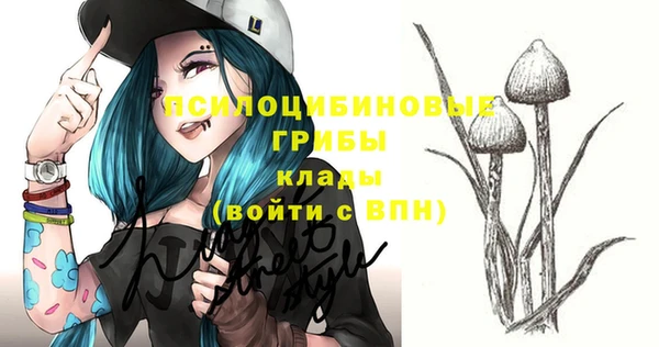прущие крисы Бородино